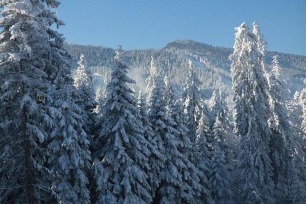 Aparthotel Borovets Gardens Extérieur photo
