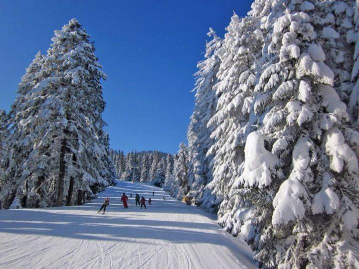 Aparthotel Borovets Gardens Extérieur photo